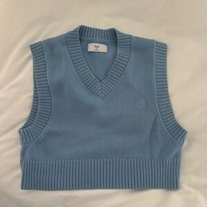 Aritzia blue v neck sweater